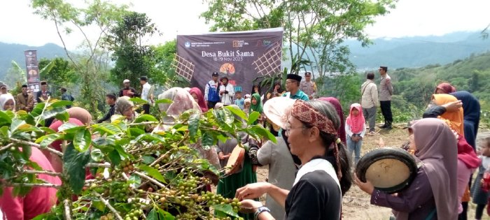 Festival Panen Kopi Bukit Sama Dibuka, Suguhan Elok Alam dan Pagelaran Budaya Gayo